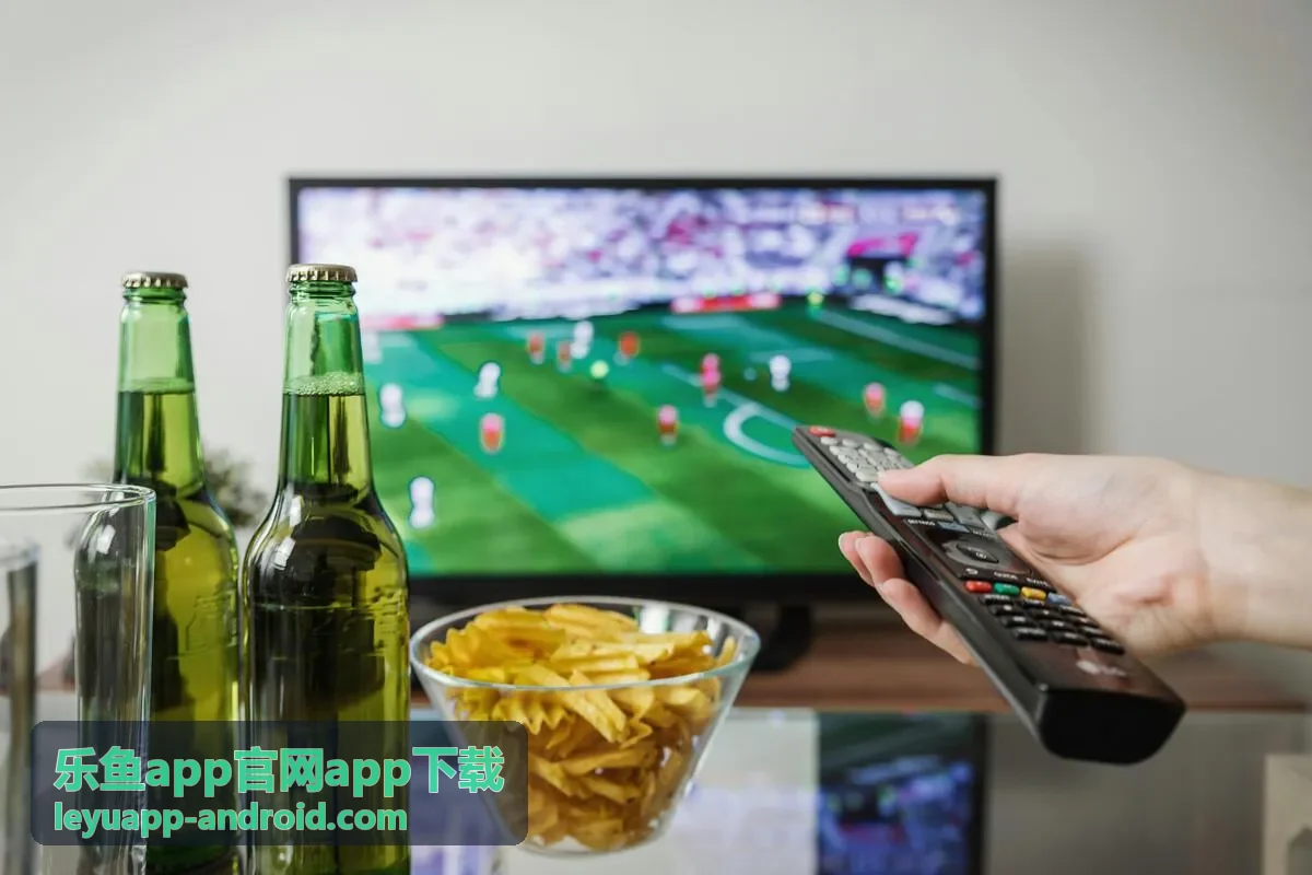 乐鱼离线缓存播放界面